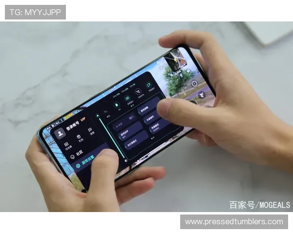 永乐AG网页版登录操作教程，详细步骤帮助新手快速上手游戏登录