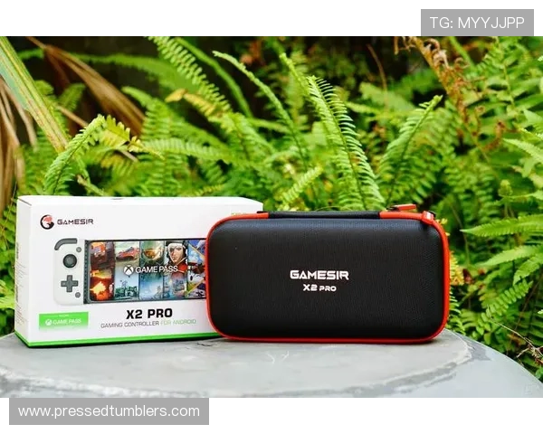 本地离线安装包提供ag竞咪app下载，随时随地畅玩不受网络限制