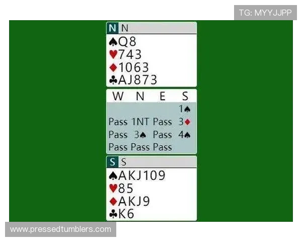 全面分析百家乐扑克游戏的规则与策略提升你的胜率