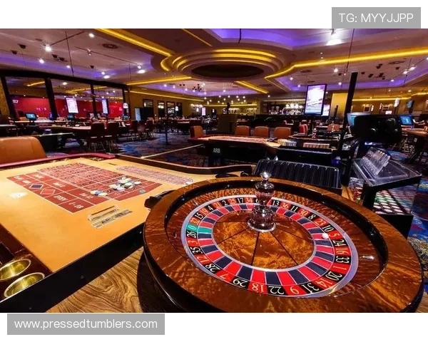 365真人游戏多样化，涵盖真人百家乐、龙虎斗、轮盘等丰富游戏类型