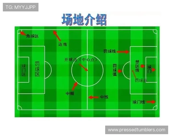 全面解析真人足球游戏的规则体系帮助新手快速入门