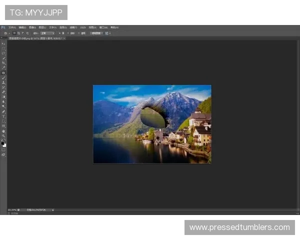 关于pa视讯官方网站平台的全面介绍与最新功能解析，助你轻松掌握平台使用技巧