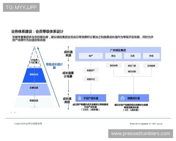 贵宾会互娱平台的会员制度详解，如何通过积分和等级提升享受更多专属权益