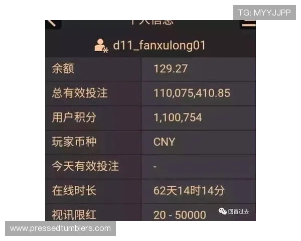 使用百家乐模拟软件进行风险控制和资金管理的实用技巧分享