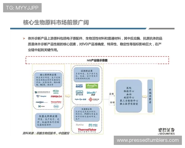 真人电竞体育行业的商业模式创新与未来发展路径深度探讨